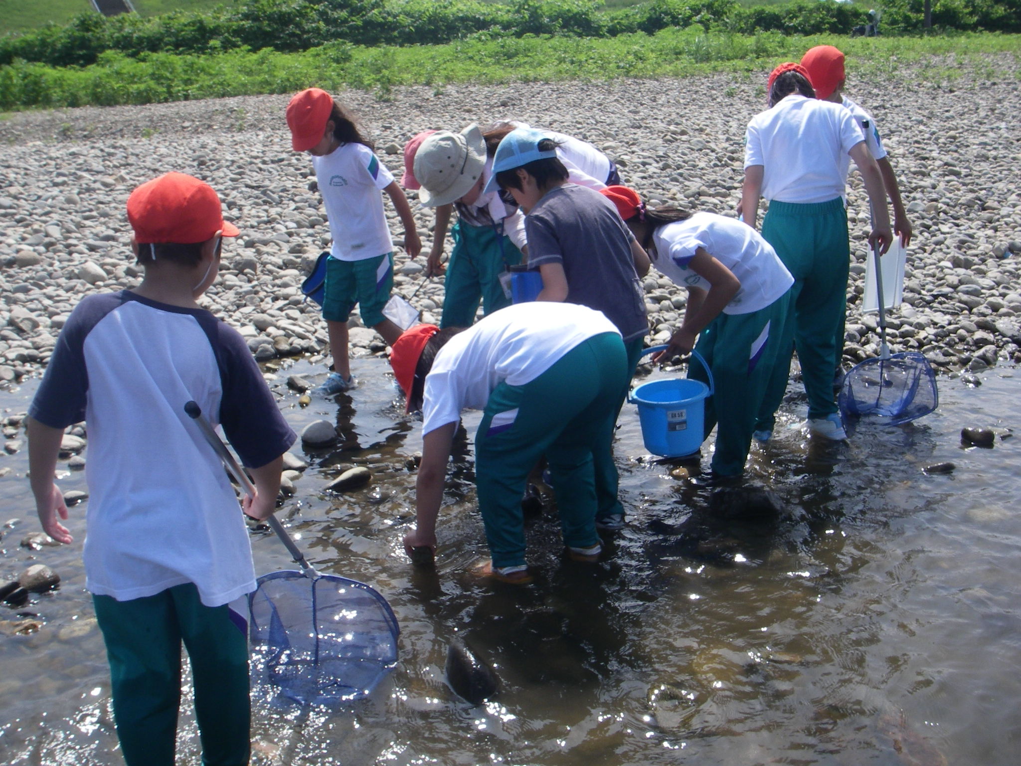 川に入り水生生物を調査中