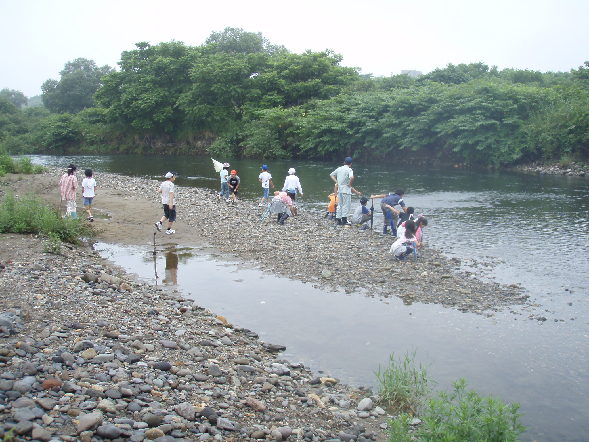 河原で川の様子等を観察