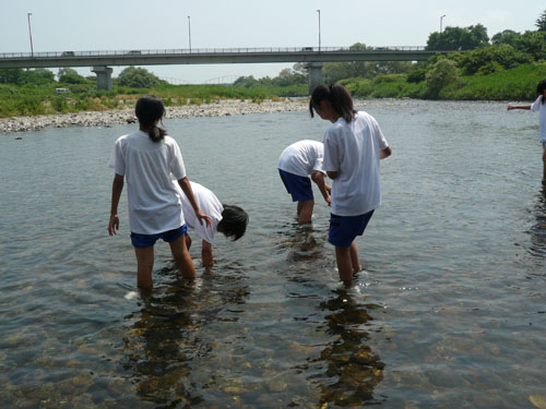 川に入り水生生物を調査中