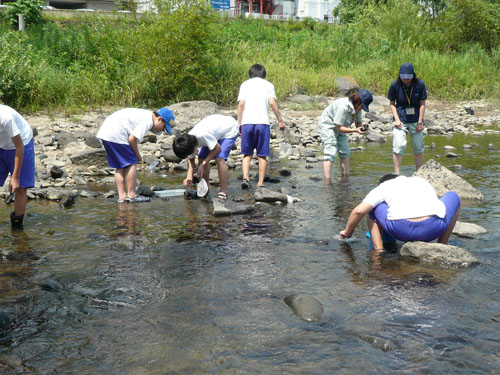 河原で川の様子等を観察