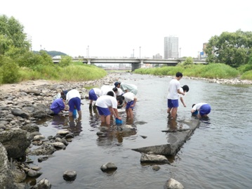 水生生物を調査中