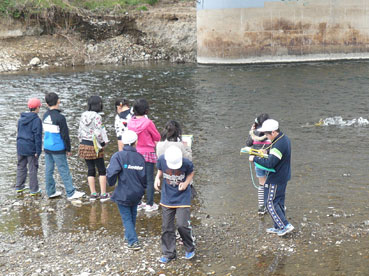 河原で川の様子や鮭の遡上等を観察している生徒たち