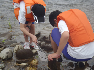 総合学習（水生生物による水質の簡易調査）風景