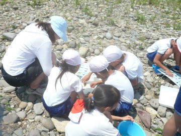 カニや魚、虫などの名前を調べています。