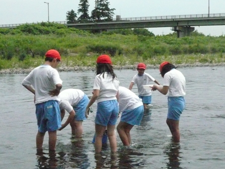 川での採集作業