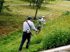 写真＜堤防除草（地元委託）＞