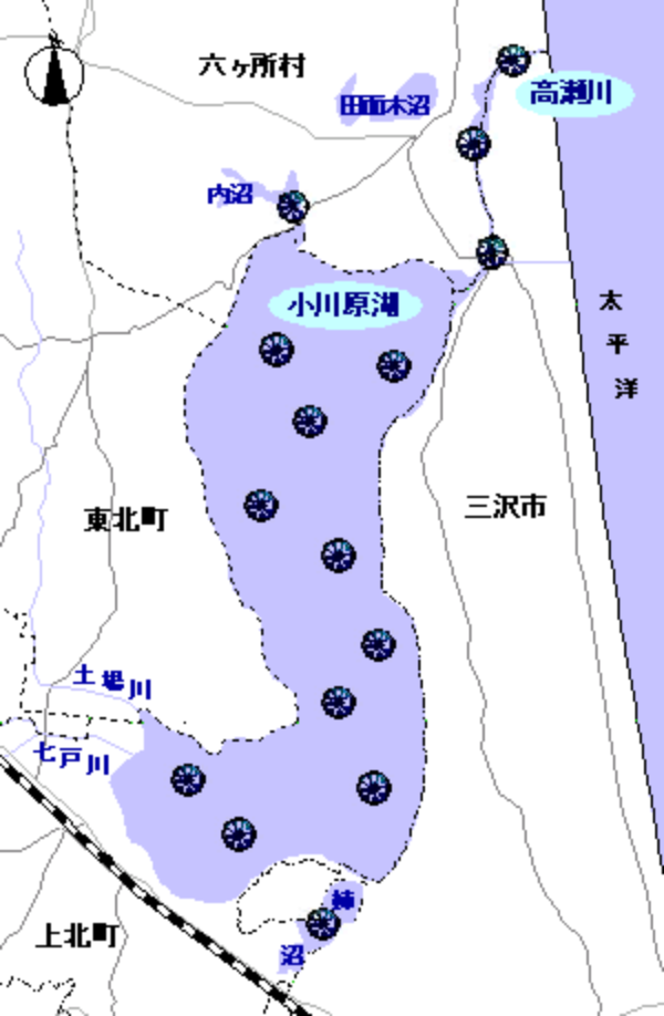 植物プランクトンマップ