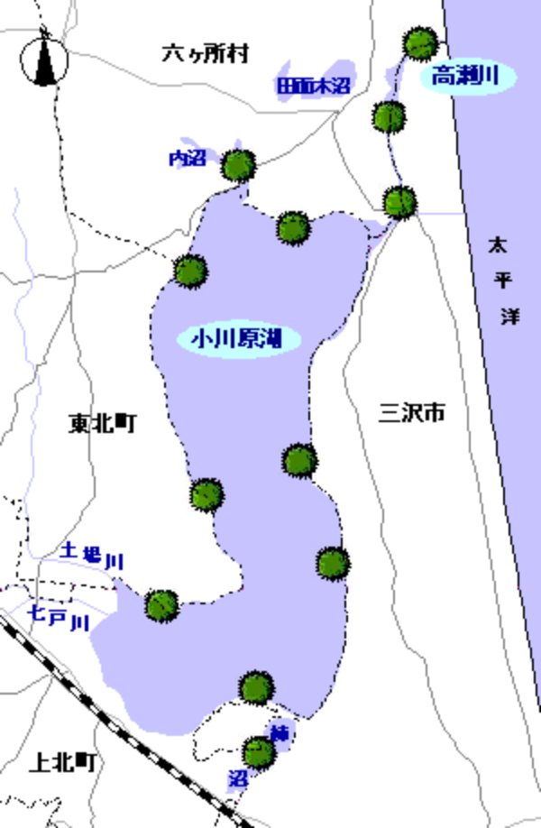 植物プランクトンマップ