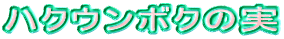 ハクウンボクの実 