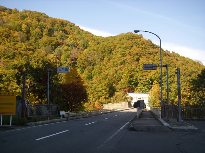 gt̎ʐ^