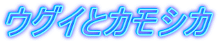 EOCƃJVJ