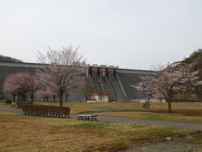 4月27日 玉川ダムに春が来ました