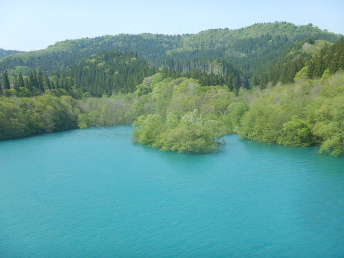 湖面巡視が始まりました