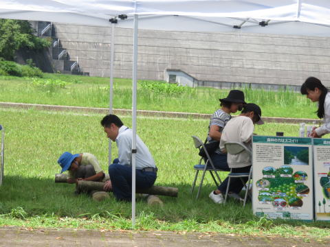 令和5年度　宝仙湖まつりの様子