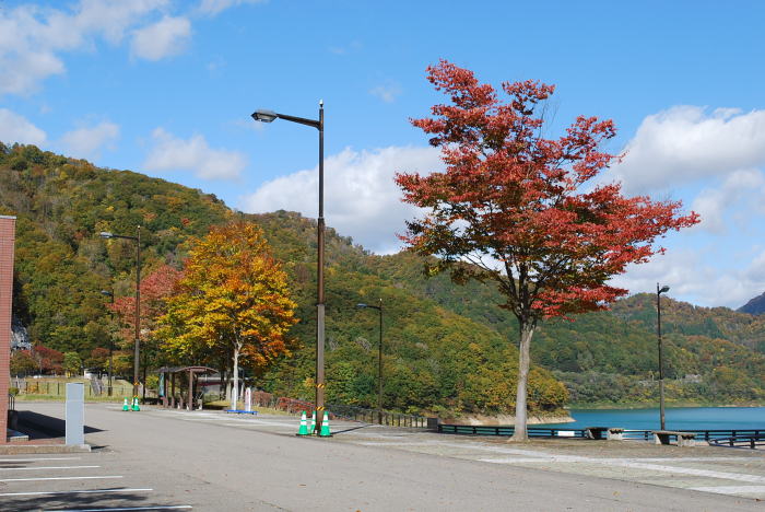 紅葉が見頃になりました